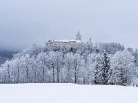Winterliche Pappelreihe und Tannen unterhalb Schloß Hohenaschau